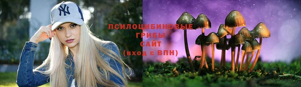 ГАЛЛЮЦИНОГЕННЫЕ ГРИБЫ Белоозёрский