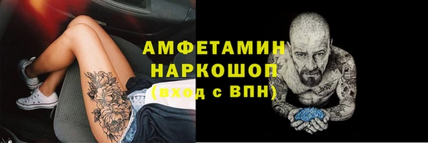 шишки Беломорск