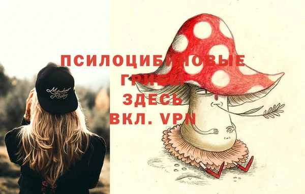 альфа пвп Белокуриха