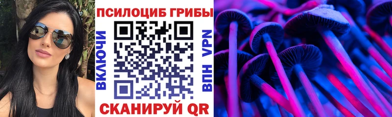 Галлюциногенные грибы Psilocybe  хочу   Нижний Ломов 